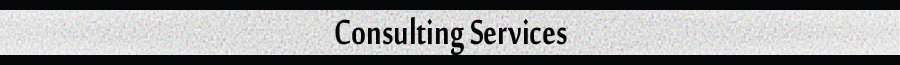 Custom Computer Consulting Consultation Services