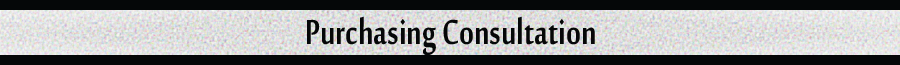 Custom Computer Consulting Purchasing Services